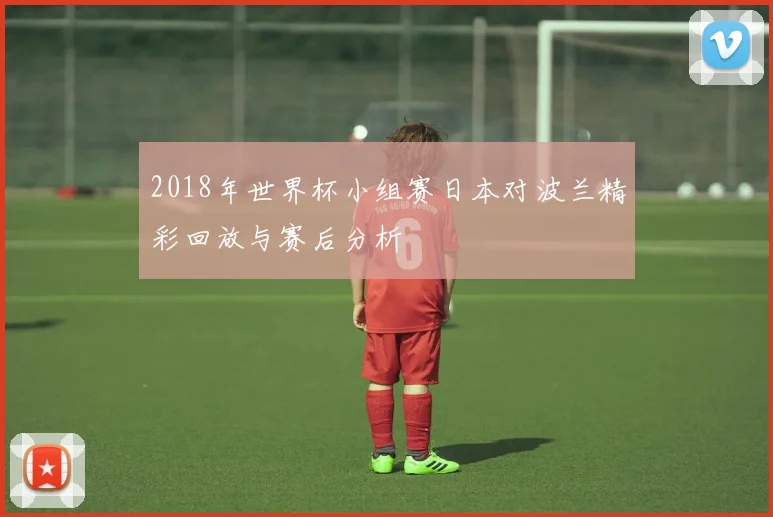2018年世界杯小组赛日本对波兰精彩回放与赛后分析