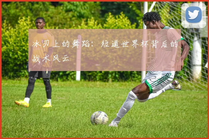 冰刃上的舞蹈：短道世界杯背后的战术风云